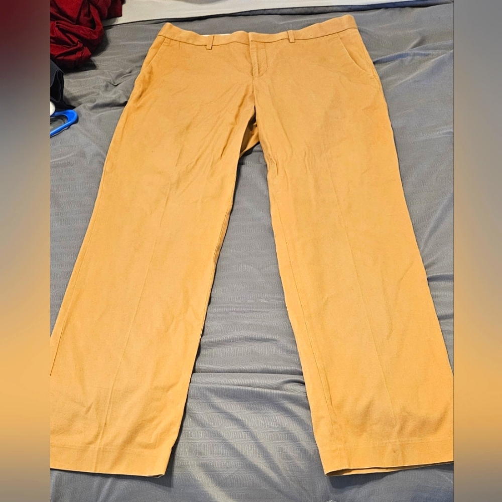 Express dress pants Khaki